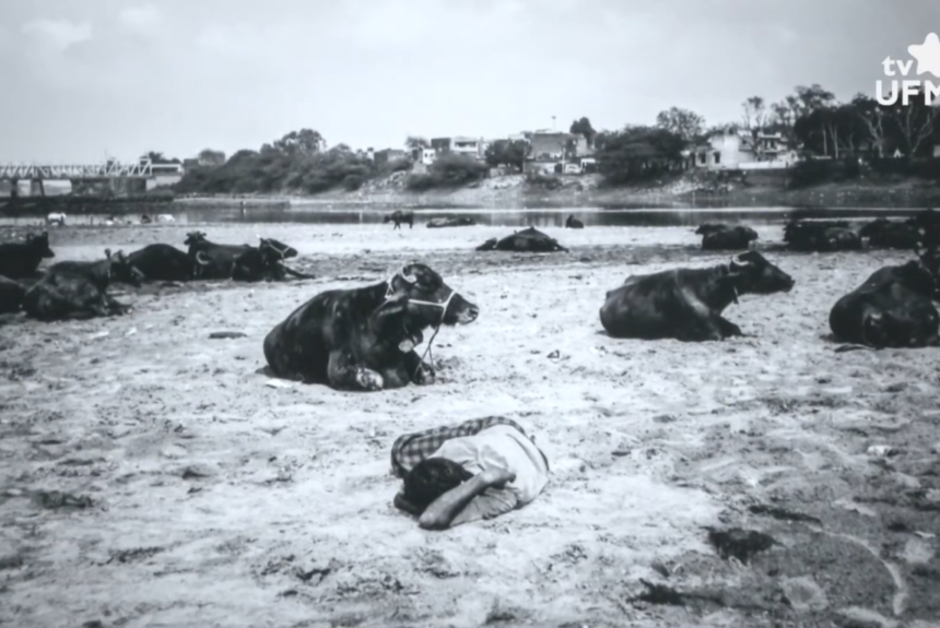 Exposição “O tempo da imagem”