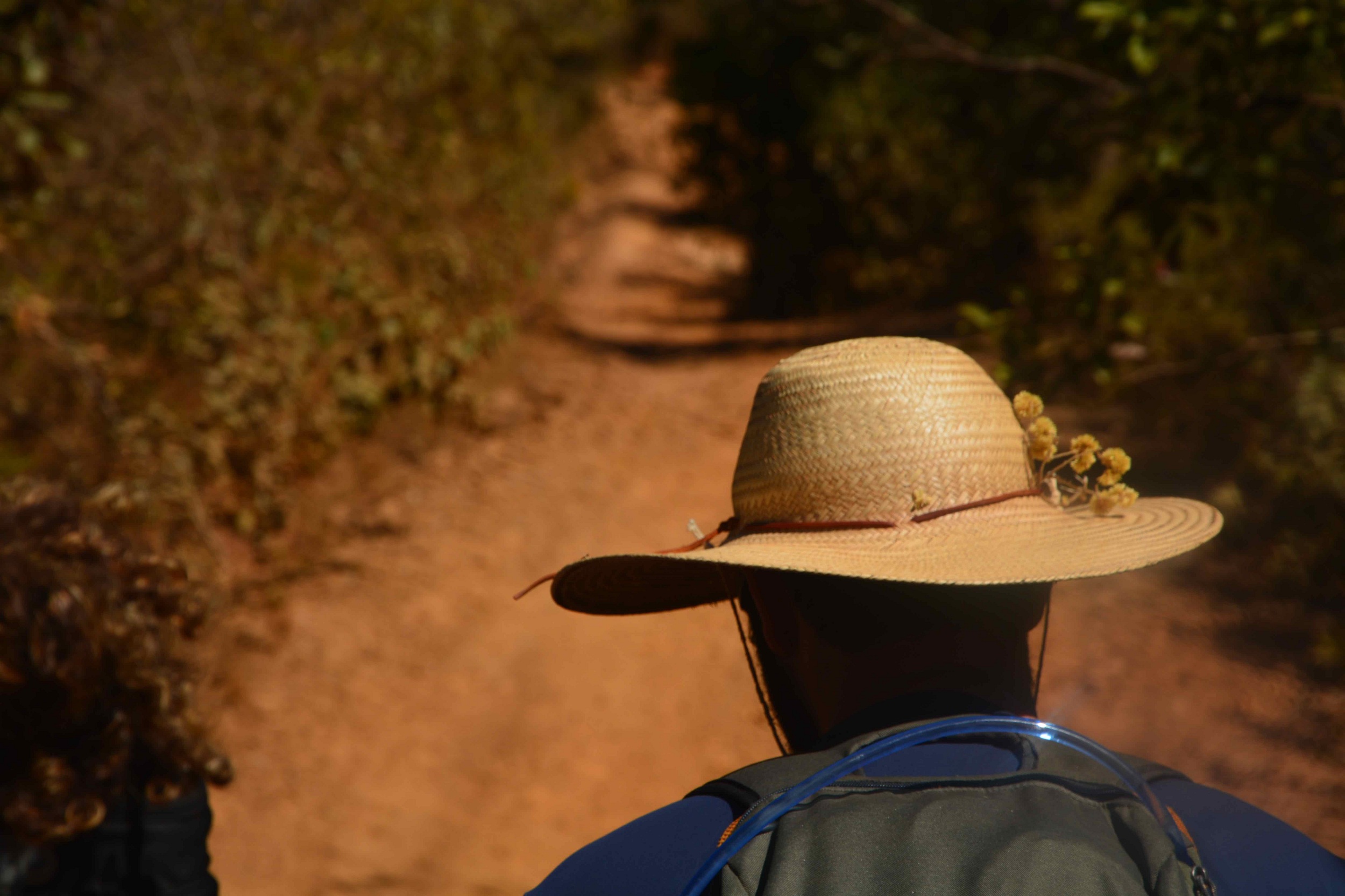 Fotografia em formato paisagem. Visto de costas e a partir dos ombros, um homem caminha por uma estrada de terra ensolarada. Ele usa um chapéu de palha enfeitado com pequenas flores amarelas de macela, blusa azul e está com uma mochila nas costas.