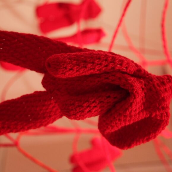 Exposição ‘enquanto espero a primavera’