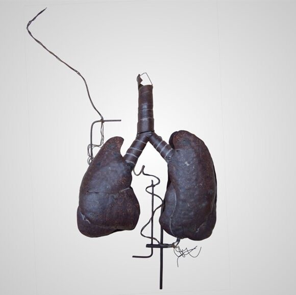Artista alemã expõe esculturas em formato de órgãos do corpo humano