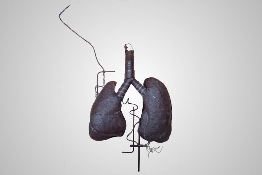 Artista alemã expõe esculturas em formato de órgãos do corpo humano Artista alemã expõe esculturas em formato de órgãos do corpo humano