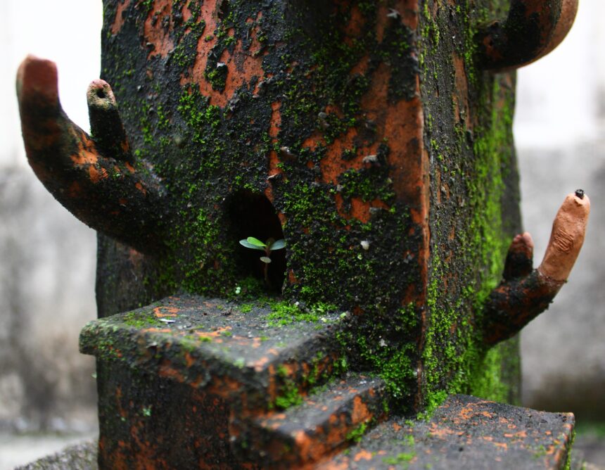 Obra de Mandrágora revela um mundo que renasce dos traços de sua própria existência