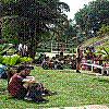 imagem-05.jpg imagem-05.jpg