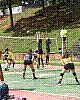 imagem-10.jpg imagem-10.jpg