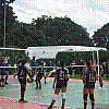 imagem-18.jpg imagem-18.jpg