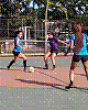 imagem-23.jpg imagem-23.jpg