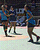 imagem-61.jpg imagem-61.jpg