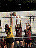 imagem-79.jpg imagem-79.jpg
