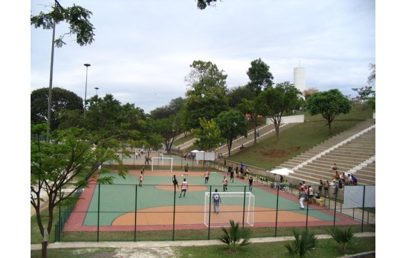 p_0010.jpg