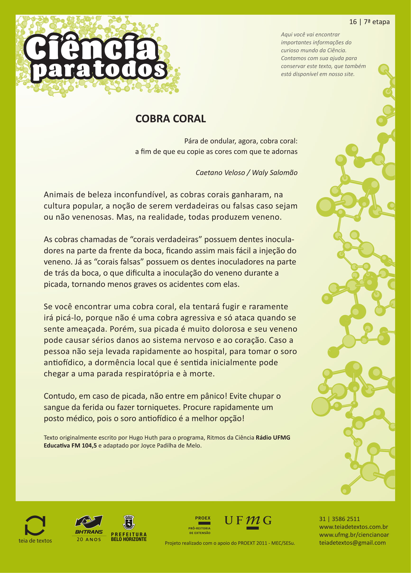 Cobra coral  Ciência no Ar - Programa de Extensão - UFMG