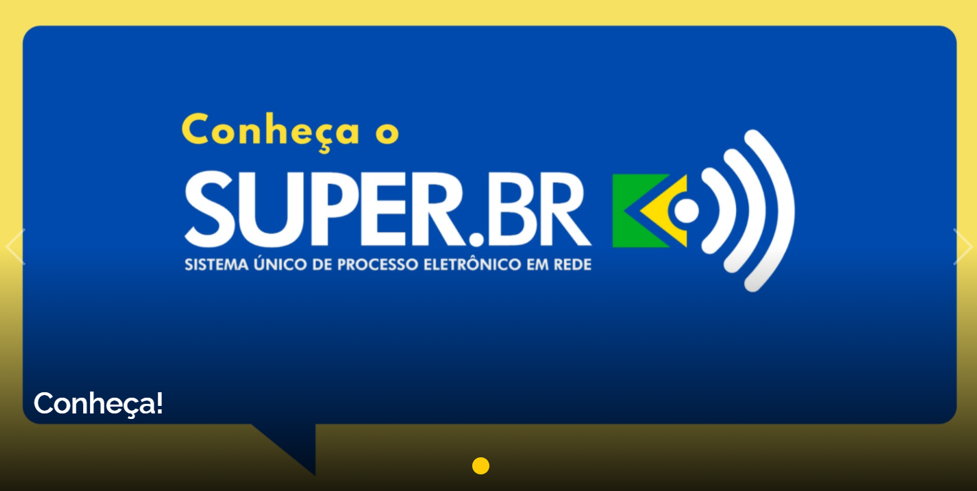 SUPER.BR – Uma plataforma capaz de conectar todos os órgãos da administração pública e integrar o País