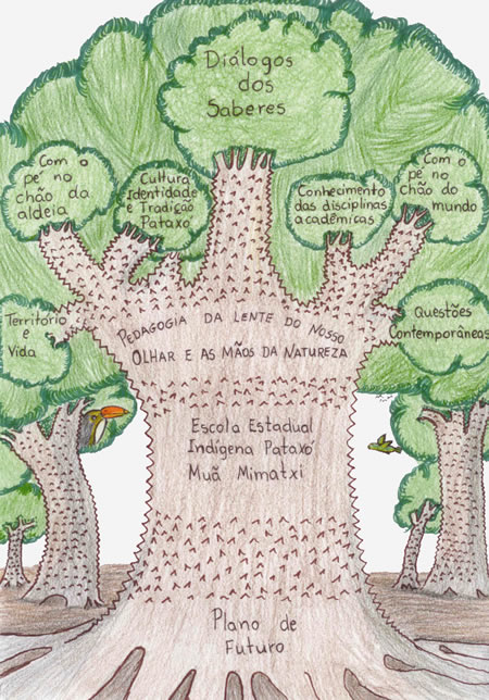 A escola patax&oacute; Mu&atilde; Mimatxi*