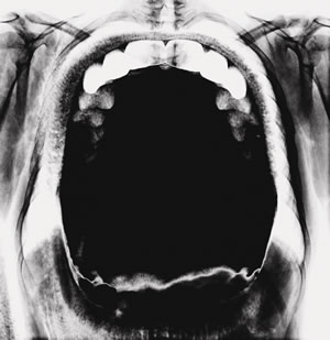 Desir&eacute;e Rodrigues