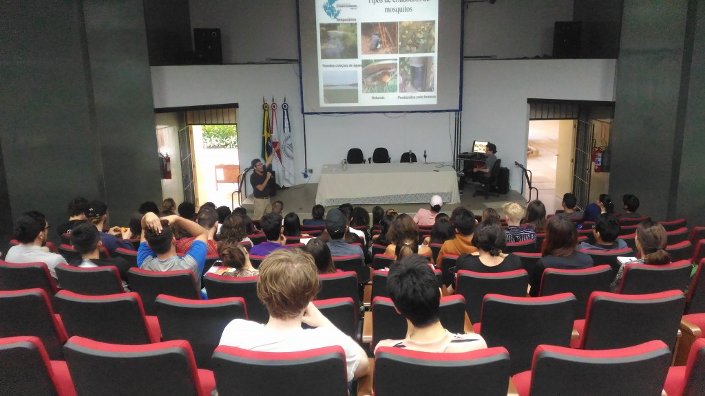 Doenças transmitidas pelo mosquito Aedes aegypti e os cuidados para evitar a sua proliferação