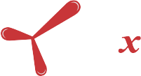 Logo ICEX