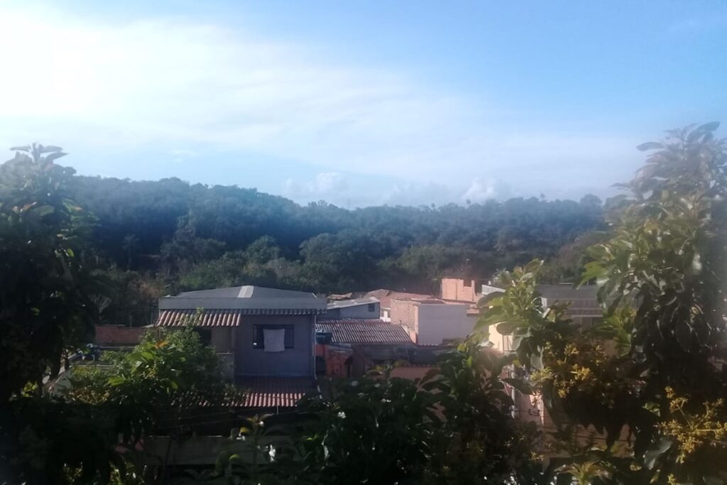 A imagem é a frente de um cartão postal, apresentando uma fotografia em cores, predominando o verde. O dia está claro. Trata-se de uma mata nos fundos de uma rua. Em primeiro plano, galhos verdes de algumas árvores emolduram as bordas da metade inferior da imagem. Em segundo plano, se vê o topo de poucas casas. Por trás delas, uma densa mata verde escura forma a faixa central do quadro. Na faixa superior, o céu está claro com nuvens rarefeitas. #PraCegoVer #ParaTodosVerem