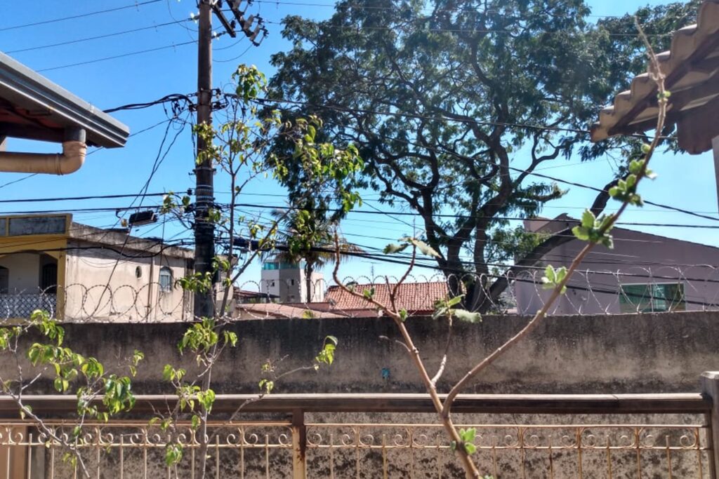 A imagem é a frente de um cartão postal, apresentando uma fotografia colorida. O dia está ensolarado. Trata-se do registro de uma grande árvore em uma rua residencial. Em primeiro plano, galhos finos de plantas com poucas folhas e o parapeito de uma varanda de ferro. Em segundo plano um muro cinza com arame farpado. Em terceiro plano, um poste e a rede elétrica da rua. Em quarto plano, com o tronco encoberto pelo muro, há uma grande árvore com galhos retorcidos e folhas concentradas nas extremidades que ultrapassam o limite superior da imagem. Ao fundo, se vê o topo de algumas casas e uma faixa larga do céu limpo e muito iluminado. #PraCegoVer #ParaTodosVerem