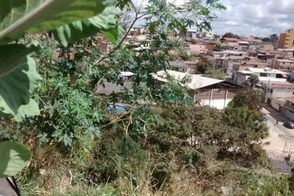 A imagem é a frente de um cartão postal, apresentando uma fotografia em cores, predominando tons de verde. O dia está nublado. Trata-se de um pequeno trecho de mata em contraste com área urbana. Em primeiro plano, em todo o lado esquerdo e faixa inferior da imagem, um mato alto com arbustos e pequenas árvores, algumas mais verdes, outras mais secas, ocupam um barranco. Em segundo plano, na faixa superior direita, muitas casas e o trecho de uma rua vistos de cima sob uma pequena porção de céu nublado. #PraCegoVer #ParaTodosVerem