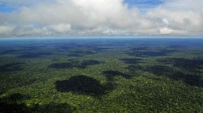 Fotografia Aérea De Um Trecho Da Amazônia Brasileira Próximo A Manaus, No Estado Do Amazonas