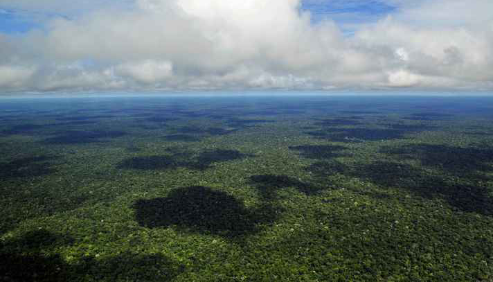 Fotografia aérea de um trecho da Amazônia brasileira próximo a Manaus, no estado do Amazonas