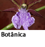 Botânica