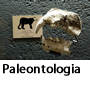 Paleontologia