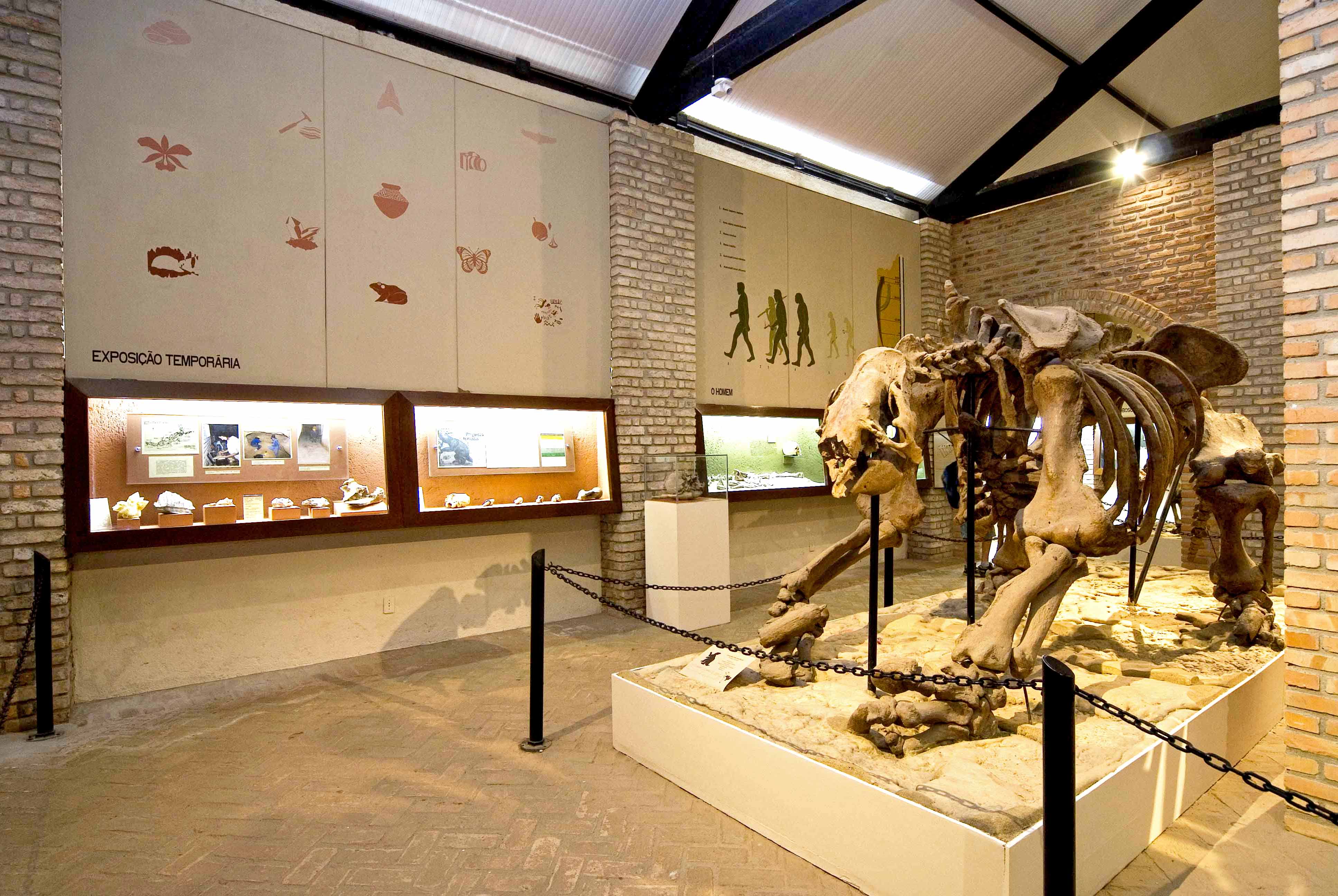 Museu de Paleontologia da UFRGS