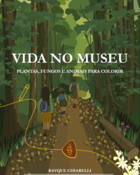 Vida no Museu - 2025