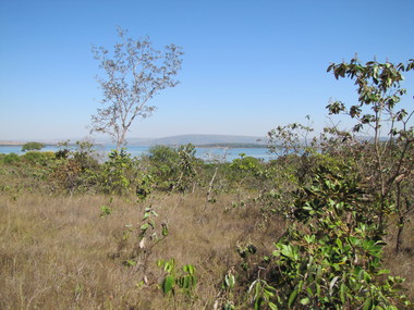 Cerrado%20Campo%20Sujo%20g%20w%20fernandes.JPG