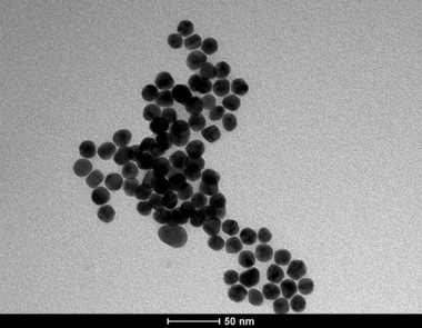 Microscopia-lidia-1.bmp