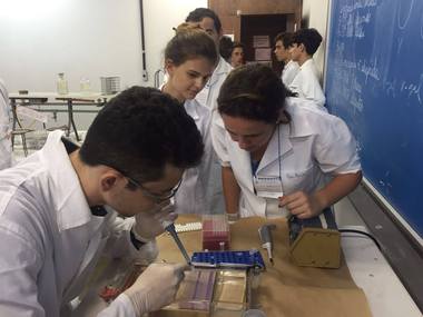curso%20de%20ver%E3o.jpg