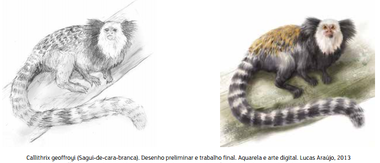 ilustra%E7%E3o%204.bmp