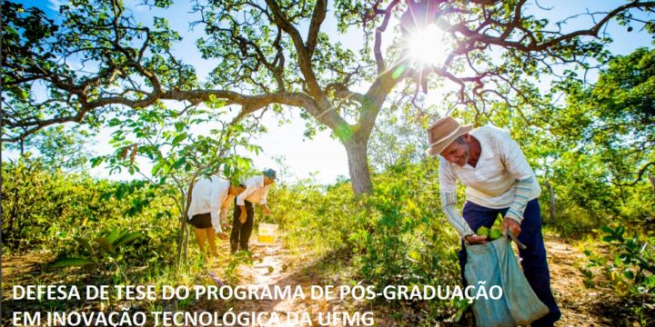 DEFESA DE TESE DO PROGRAMA DE PÓS-GRADUAÇÃO EM INOVAÇÃO TECNOLÓGICA DA UFMG – CARLA SOARES GODINHO