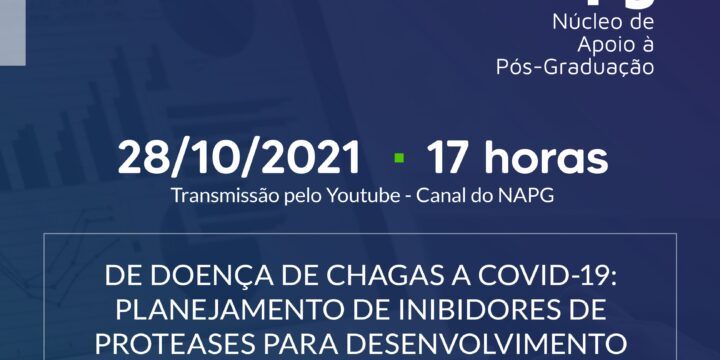 Divulgação – 4º edição Seminário NAPG – 28.10.2021