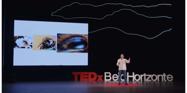 Nanoscópio: a ciência ampliando a realidade | Ado Jorio | TEDxBeloHorizonte