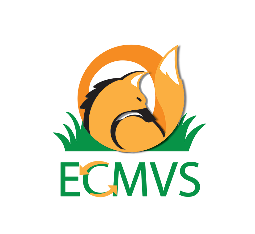 ECMVS