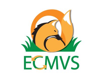 ecmvs 2017b