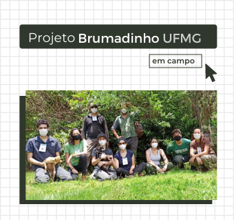 Proex UFMG (@extensaoufmg) / X