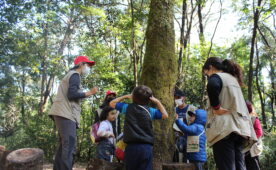 Atividade de educação ambiental promovida na Estação Ecológica da UFMG_Foto Vitória Alves_Comunicação Proex UFMG
