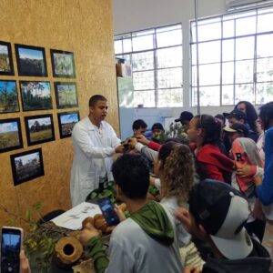 Quebra-cabeça T  Museu da Matemática UFMG