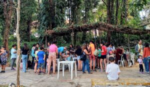 Participante da mostra: Programa Educativo do Museu de História Natural e Jardim Botânico da UFMG / Foto: Divulgação MHNJB-UFMG