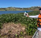 Projeto AquaSmart alia ciência, tecnologia, inovação e impacto social Foto Simoa UFMG