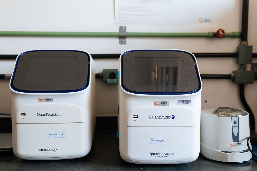 Galeria de Fotos: LINBIO – Programa Outlab