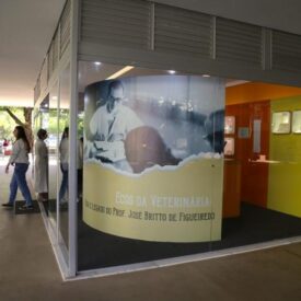 Imagem padrão