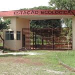 Estação Ecológica realiza a quarta edição do Domingo no campus, no dia 8 de novembro.