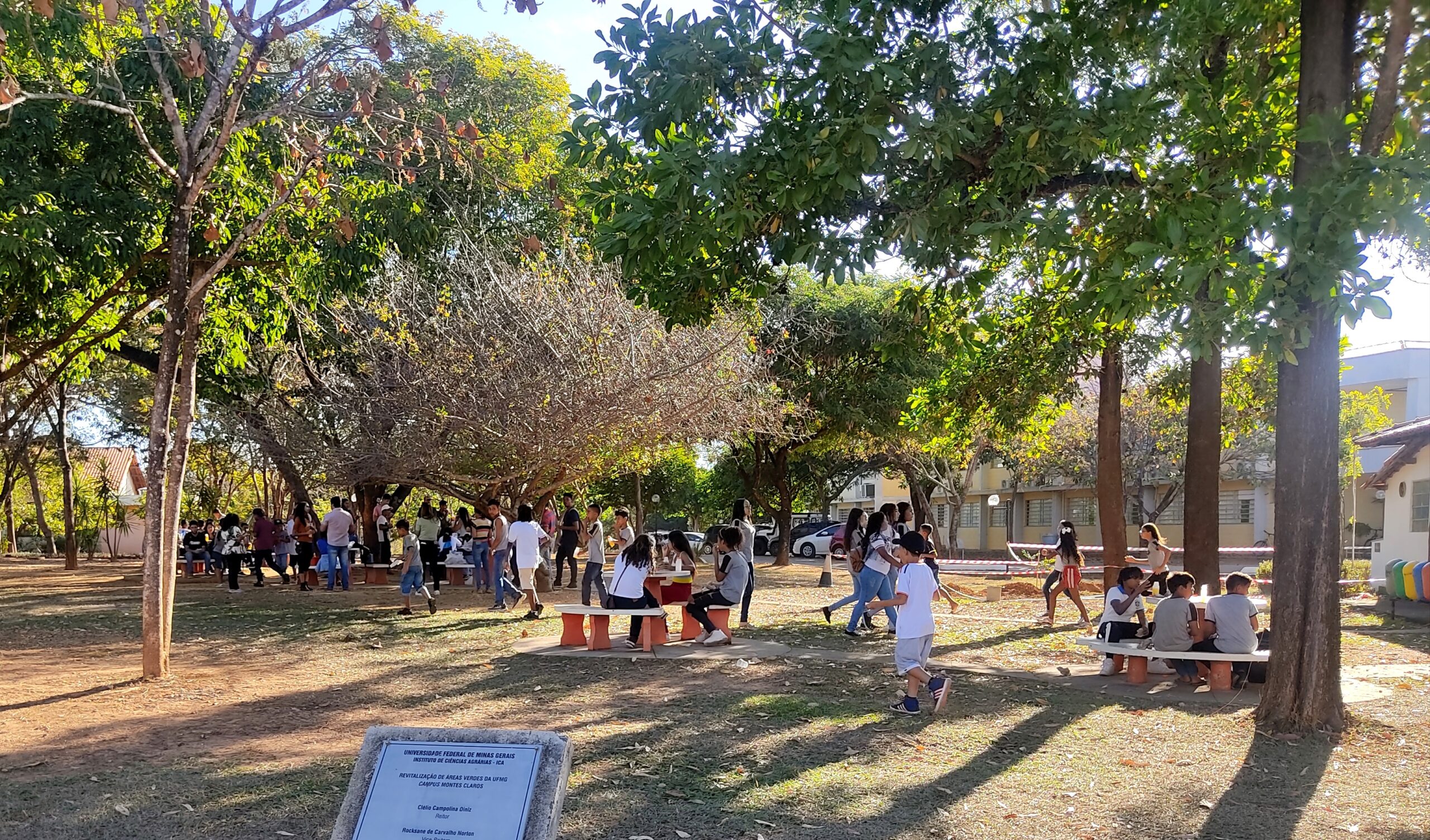 Herbário Norte Mineiro encanta estudantes com a diversidade de plantas na I Mostra Ambiental da UFMG (Campus Montes Claros)