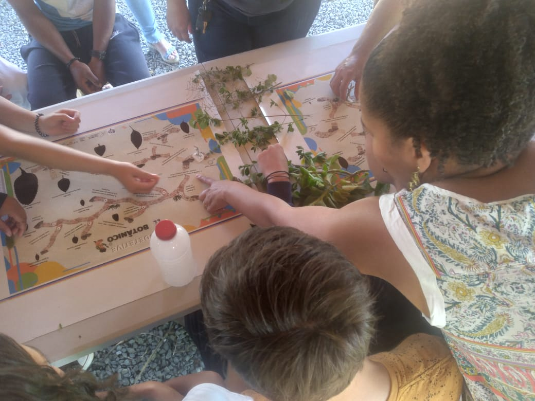 Herbário Norte Mineiro realiza circuito de visitação para estudantes da cidade de Engenheiro Navarro