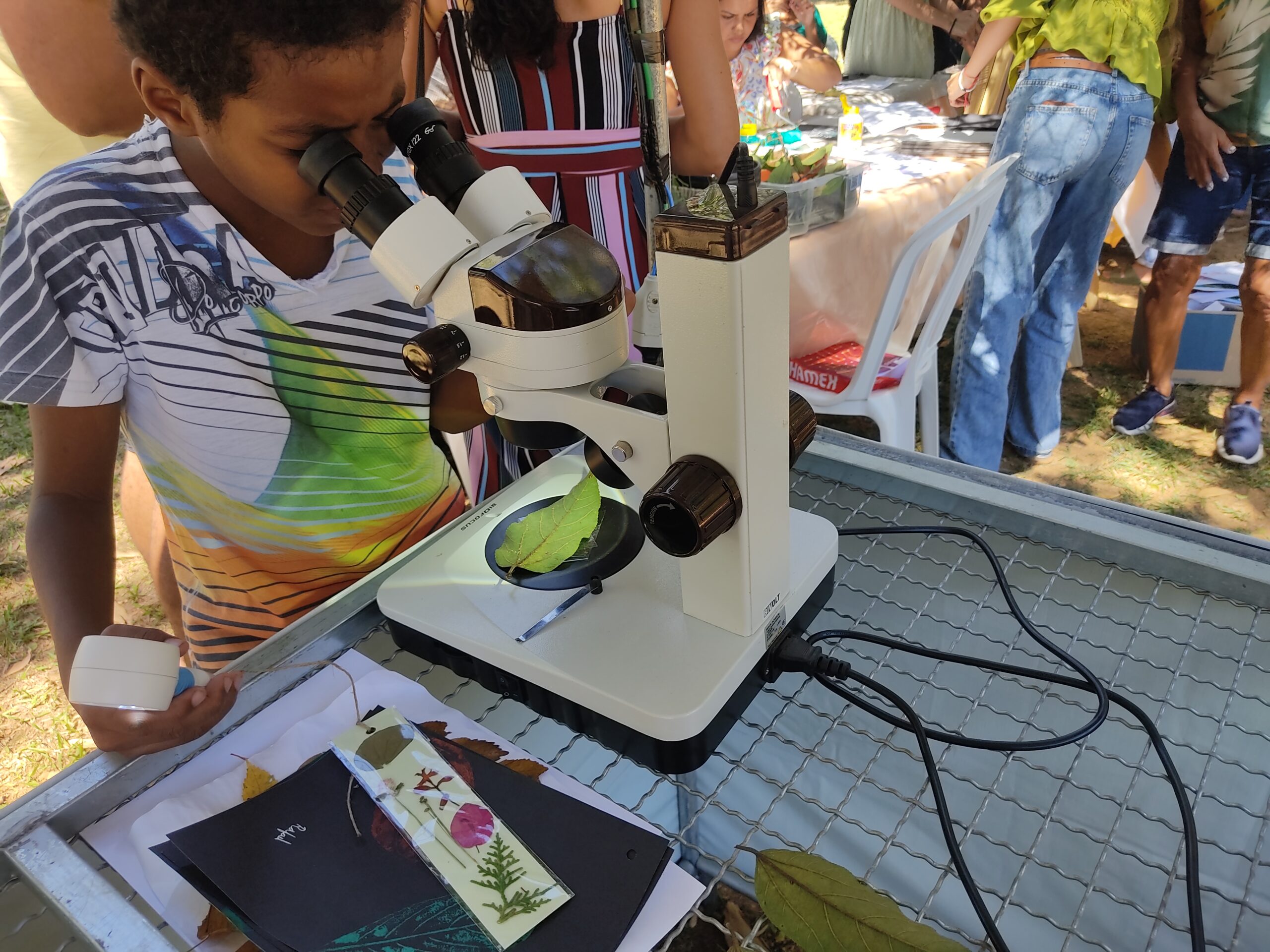 Herbário Norte-Mineiro participa do “Domingo no Campus” em Montes Claros.