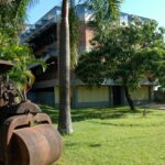 Rede de Museus realiza seleção de bolsistas de extensão para projeto de Revitalização de Reservas Técnicas: inscrições até o dia 10 de março.